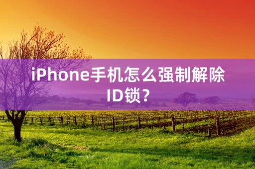 iPhone手机怎么强制解除ID锁？