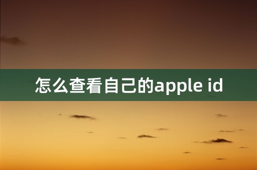 怎么查看自己的apple id