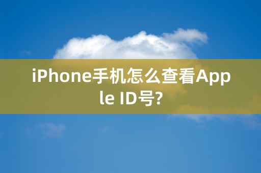 iPhone手机怎么查看Apple ID号?