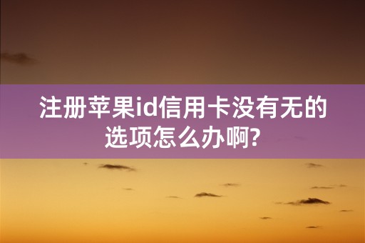 注册苹果id信用卡没有无的选项怎么办啊?