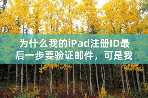 为什么我的iPad注册ID最后一步要验证邮件，可是我怎么都收不到