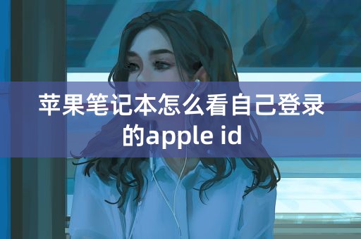 苹果笔记本怎么看自己登录的apple id