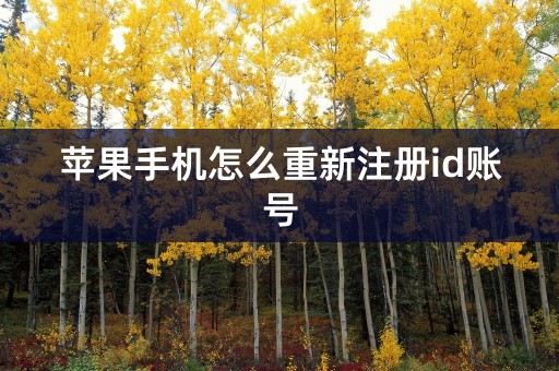 苹果手机怎么重新注册id账号