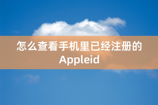 怎么查看手机里已经注册的Appleid