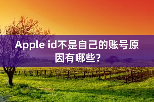 Apple id不是自己的账号原因有哪些？