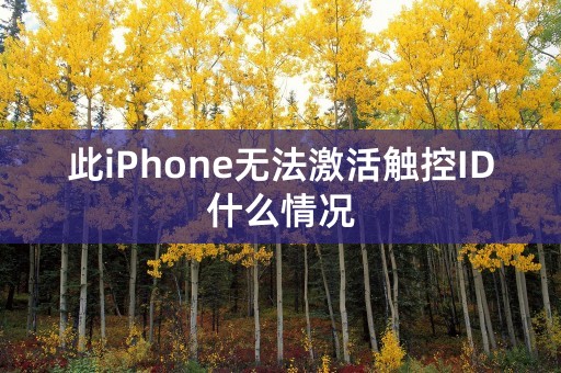 此iPhone无法激活触控ID什么情况