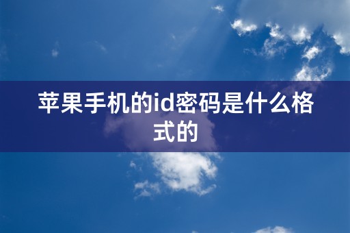 苹果手机的id密码是什么格式的