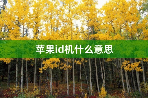 苹果id机什么意思