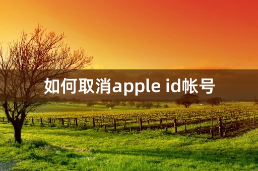 如何取消apple id帐号