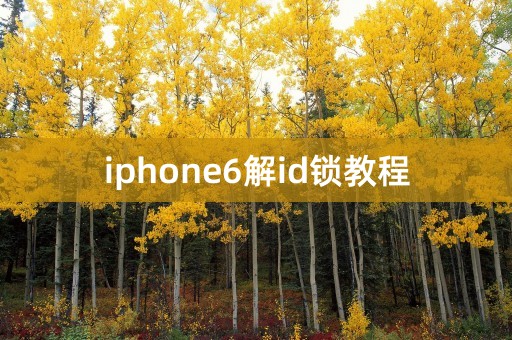 iphone6解id锁教程