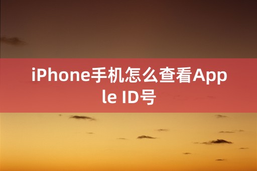 iPhone手机怎么查看Apple ID号