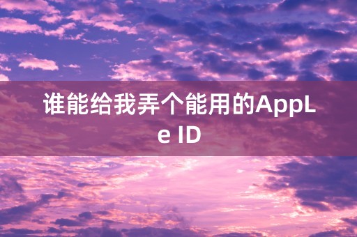 谁能给我弄个能用的AppLe ID