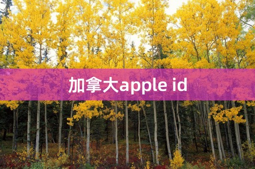 加拿大apple id