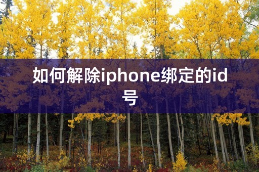 如何解除iphone绑定的id号