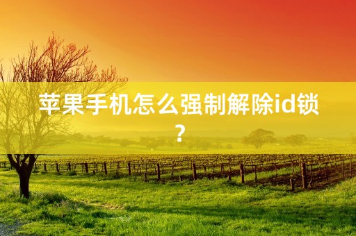 苹果手机怎么强制解除id锁？