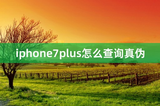 iphone7plus怎么查询真伪