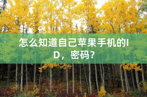 怎么知道自己苹果手机的ID，密码？