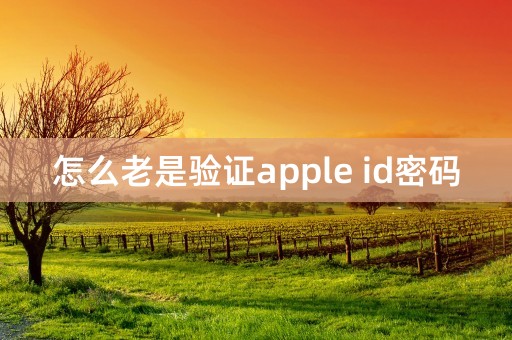 怎么老是验证apple id密码