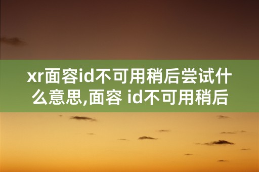 xr面容id不可用稍后尝试什么意思,面容 id不可用稍后尝试是什么意思