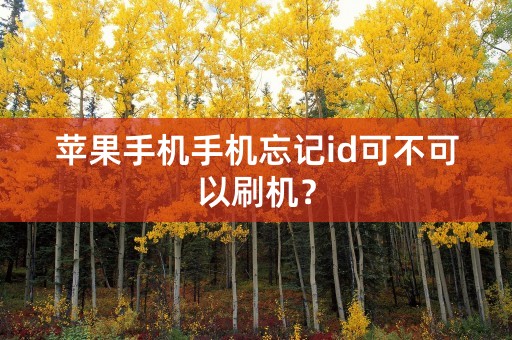 苹果手机手机忘记id可不可以刷机？