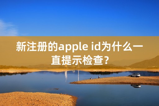 新注册的apple id为什么一直提示检查？