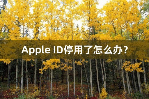 Apple ID停用了怎么办？