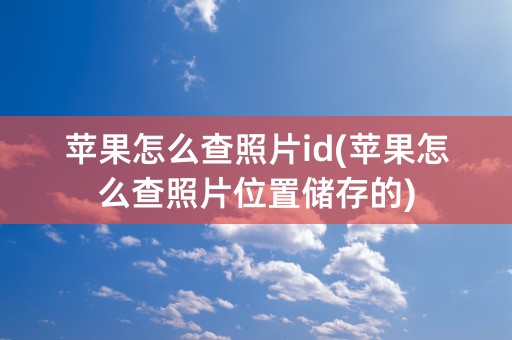 苹果怎么查照片id(苹果怎么查照片位置储存的)