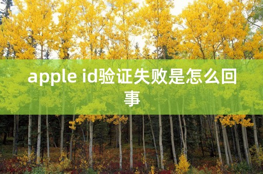 apple id验证失败是怎么回事