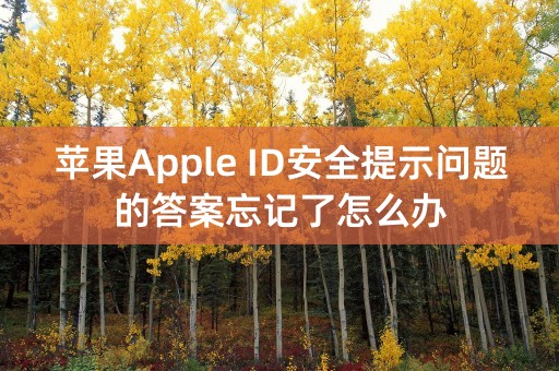 苹果Apple ID安全提示问题的答案忘记了怎么办