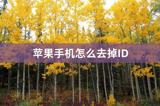 苹果手机怎么去掉ID