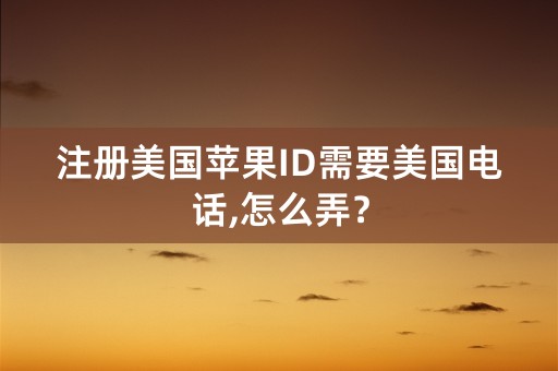 注册美国苹果ID需要美国电话,怎么弄？