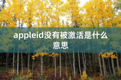 appleid没有被激活是什么意思