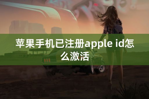 苹果手机已注册apple id怎么激活