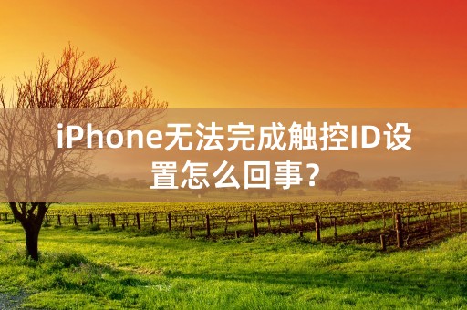 iPhone无法完成触控ID设置怎么回事？