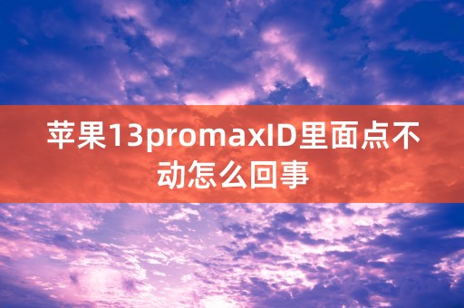 苹果13promaxID里面点不动怎么回事