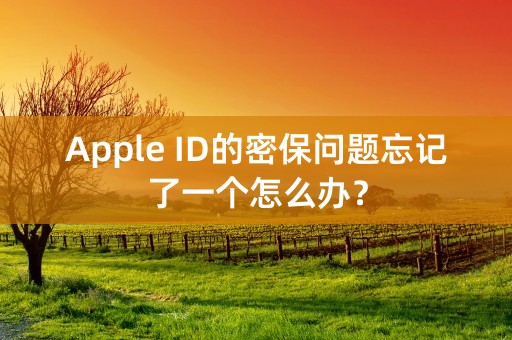 Apple ID的密保问题忘记了一个怎么办？