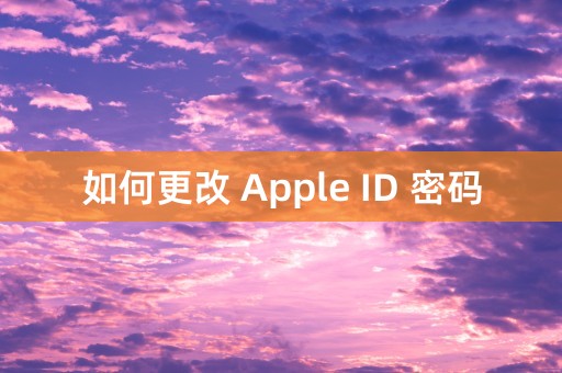 如何更改 Apple ID 密码