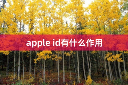 apple id有什么作用