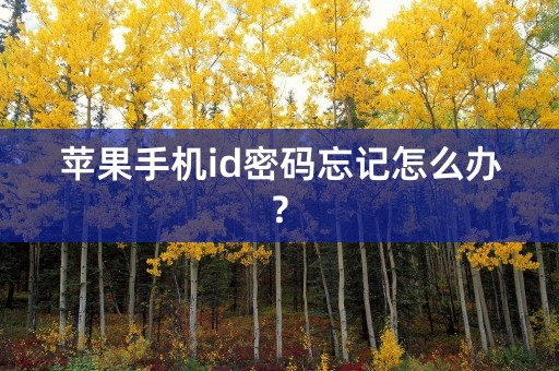 苹果手机id密码忘记怎么办?