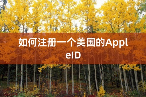 如何注册一个美国的AppleID