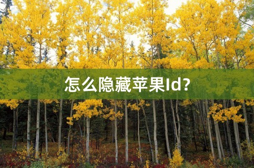 怎么隐藏苹果Id？