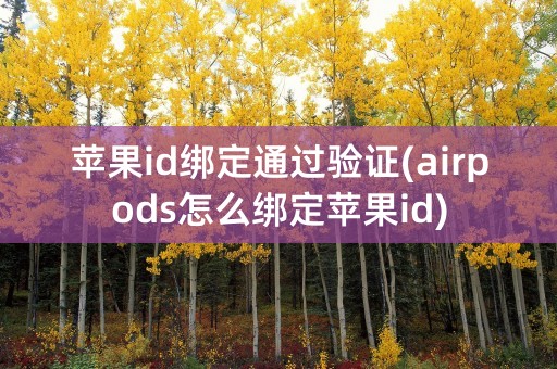 苹果id绑定通过验证(airpods怎么绑定苹果id)