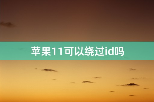 苹果11可以绕过id吗