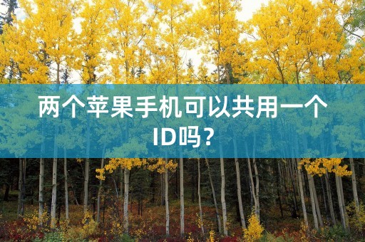 两个苹果手机可以共用一个ID吗？