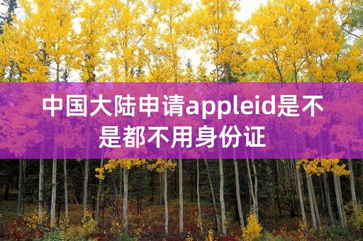 中国大陆申请appleid是不是都不用身份证