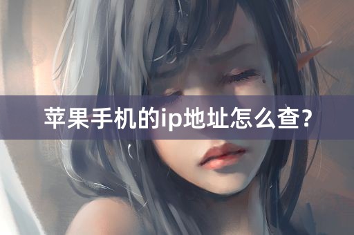 苹果手机的ip地址怎么查？