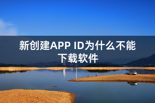 新创建APP ID为什么不能下载软件