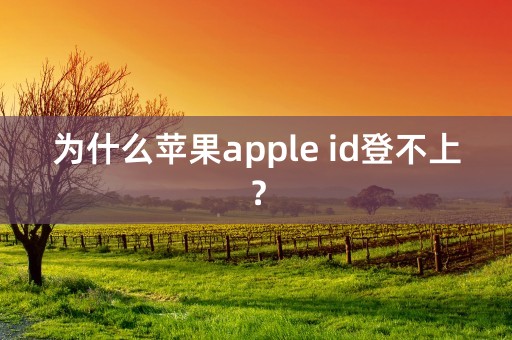 为什么苹果apple id登不上？