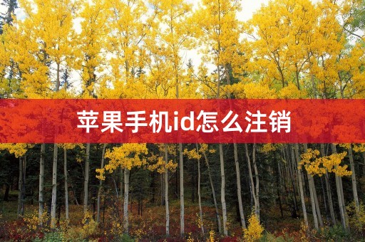 苹果手机id怎么注销