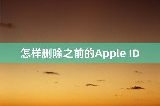 怎样删除之前的Apple ID